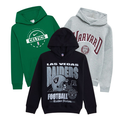 50x Hoodie Pro Sport Branded